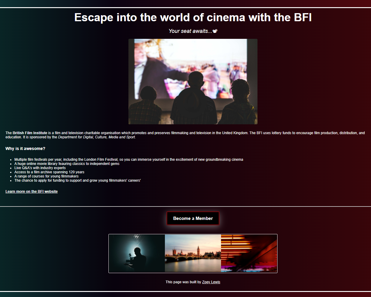 BFI Project Image